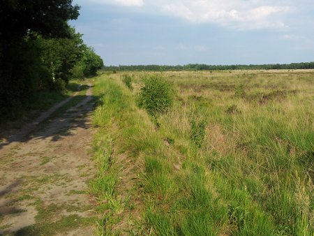 emsdettener venn heimatverein hauenhorst