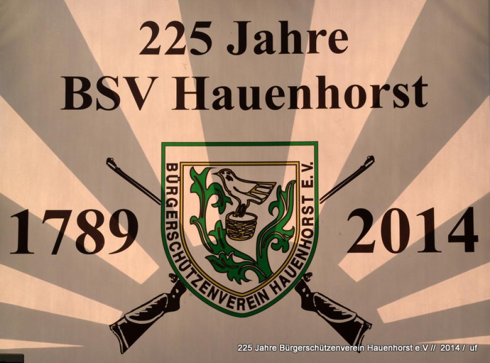 Jubiläum Flagge BSV